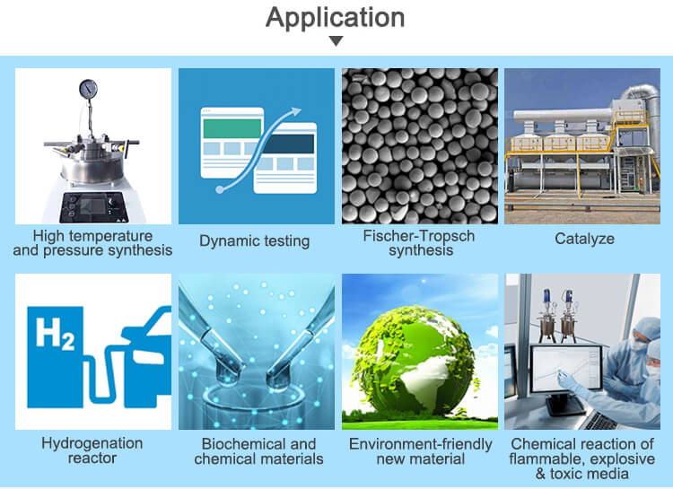 High Pressure Reactor Customize From TOPTION China;