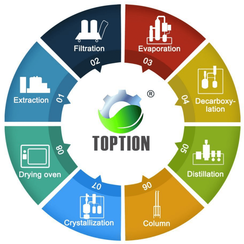 High Pressure Reactor Customize From TOPTION China;