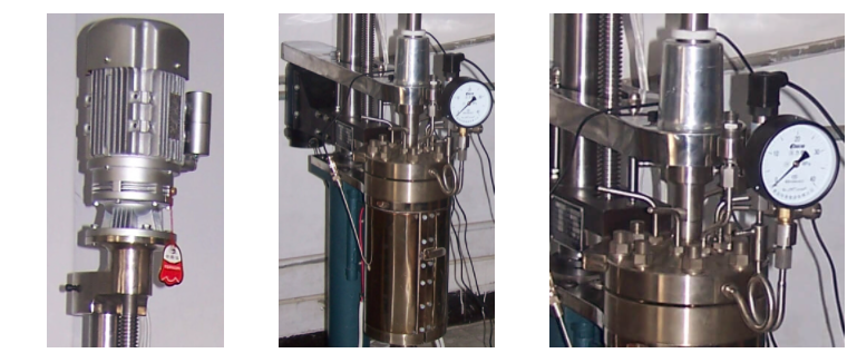 Hand-lifted High Pressure Reactor;