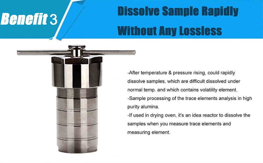 PPL Teflon Lined Hydrothermal Synthesis Reactor;