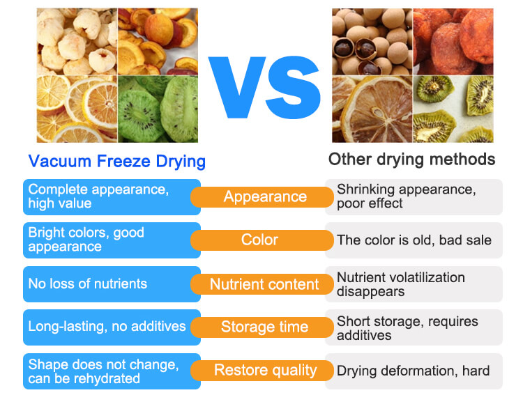 freeze dryer dimensions;