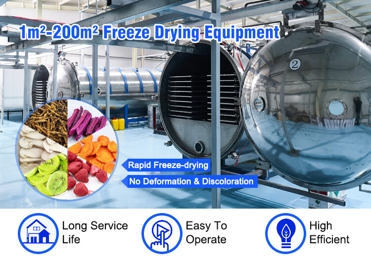 industrial freeze dryer;