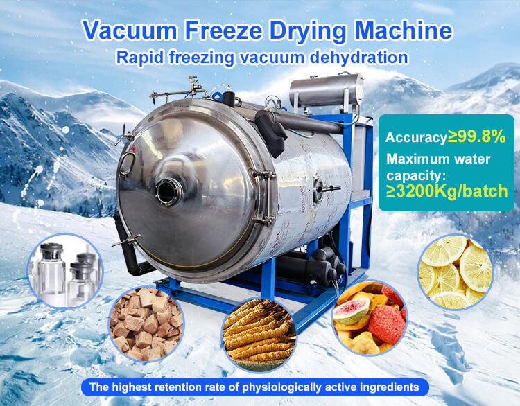 freeze dryer;