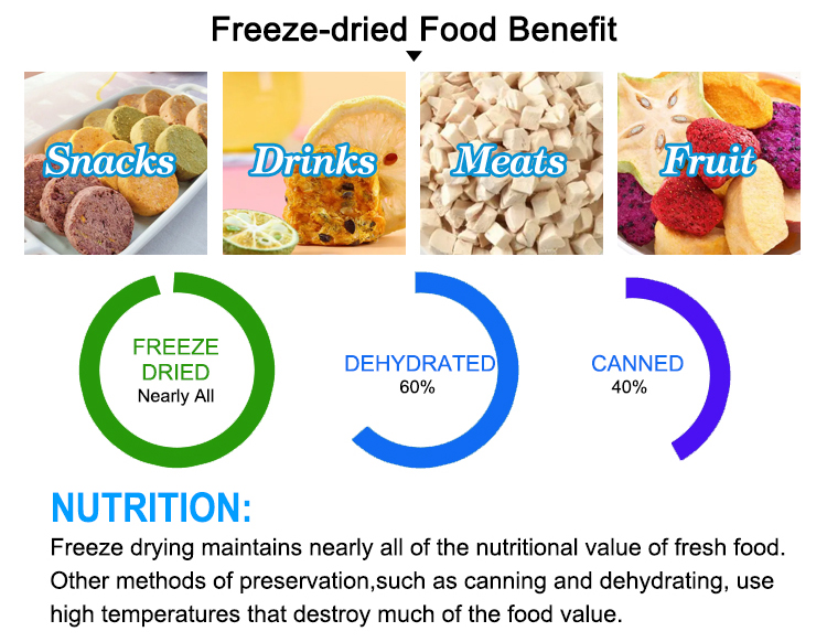 vacuum freeze dryer