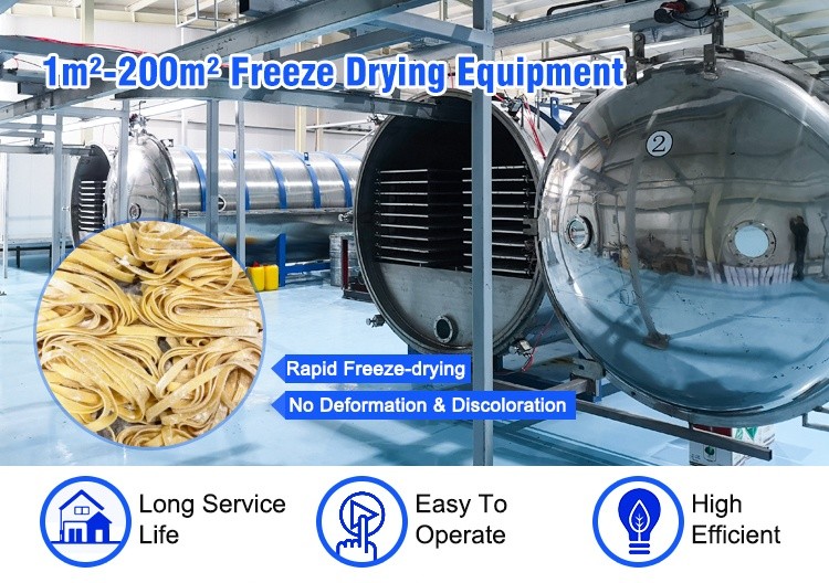  freeze dryer 