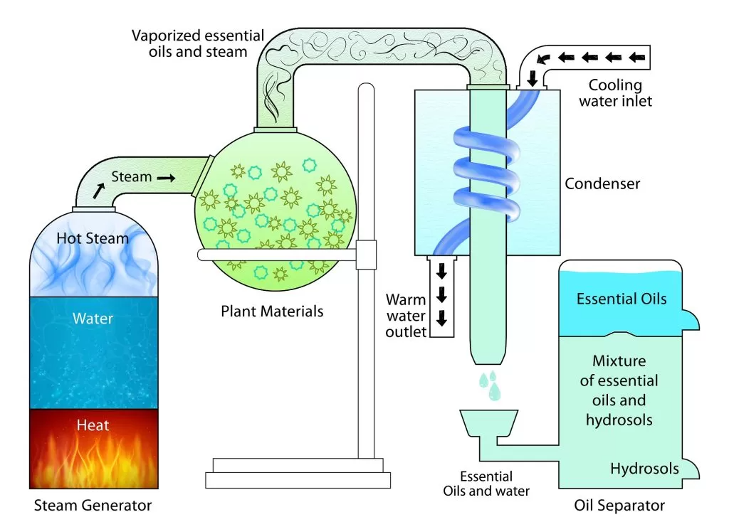 essential oil distiller